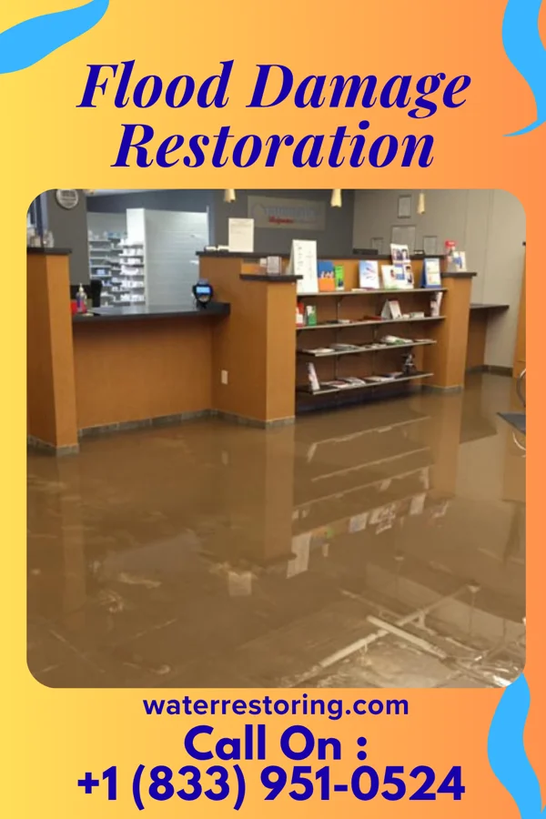 Flood Damage Restoration in Deatsville, AL